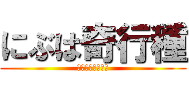 にぶは奇行種 (ｇａｔｉｈｏｍｏ)
