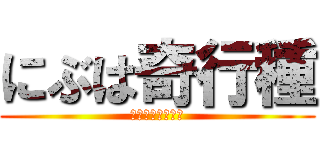 にぶは奇行種 (ｇａｔｉｈｏｍｏ)