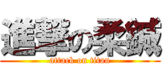 進撃の柔鍼 (attack on titan)