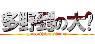 多野到の大谢 (many thing simon)