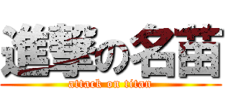 進撃の名苗 (attack on titan)
