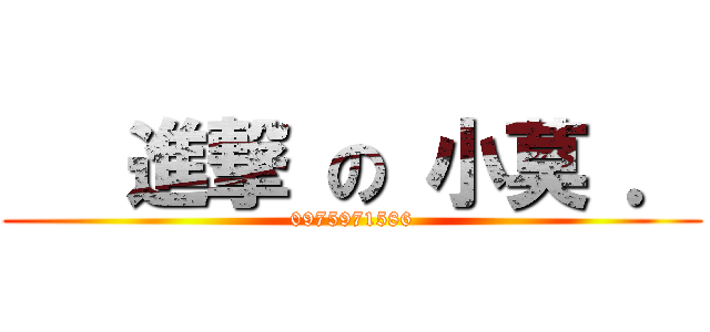    進撃 の 小莫 ． (0975971586)