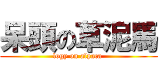 呆頭の草泥馬 (logy on alpaca )