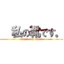   私の靴です。 (they\'re my shoes)
