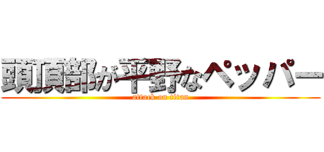 頭頂部が平野なペッパー (attack on titan)