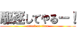 駆逐してやるー！ (attack on titan)