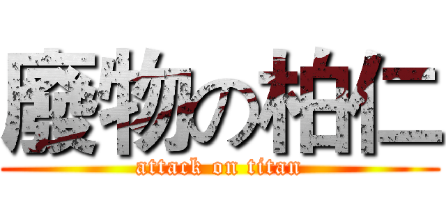 廢物の柏仁 (attack on titan)