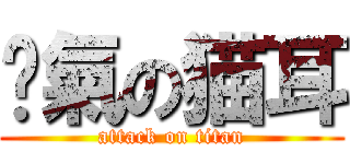 煞氣の猫耳 (attack on titan)