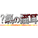 煞氣の猫耳 (attack on titan)