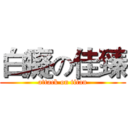 白癡の佳臻 (attack on titan)