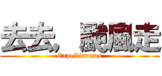 去去，颱風走 (Expelliarmus)