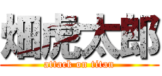 畑虎太郎 (attack on titan)