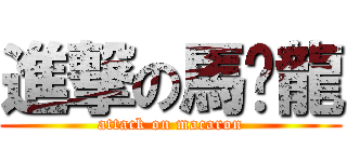 進撃の馬卡龍 (attack on macaron)