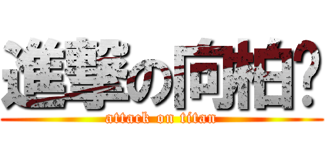 進撃の向柏澔 (attack on titan)