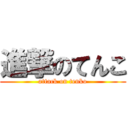 進撃のてんこ (attack on tenko)