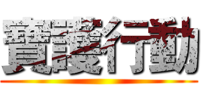 寶護行動 ()