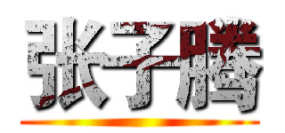张子腾 ()