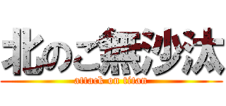 北のご無沙汰 (attack on titan)