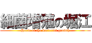 細菌増殖の堀江 (Horie of the bacterial growth)