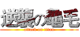 逆襲の龜毛 (attack on titan)