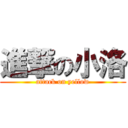 進撃の小洛 (attack on yellow)