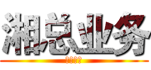 湘总业务 (全网秒单)