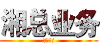 湘总业务 (全网秒单)