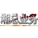 湘总业务 (全网秒单)