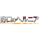 野口のヘルニア (骨髄のゼリー)