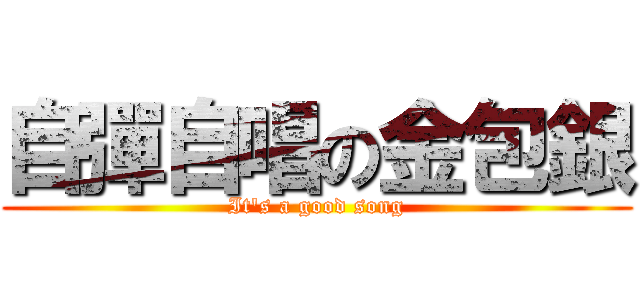 自彈自唱の金包銀 (It\'s a good song)