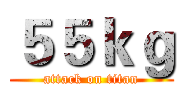 ５５ｋｇ (attack on titan)