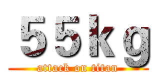 ５５ｋｇ (attack on titan)
