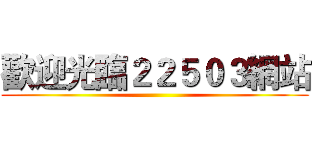 歡迎光臨２２５０３網站 ()