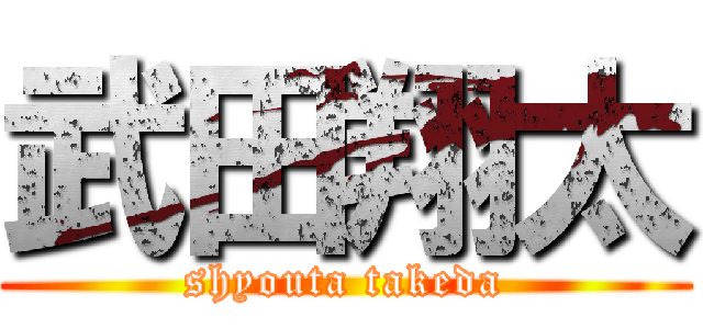 武田翔太 (shyouta takeda)