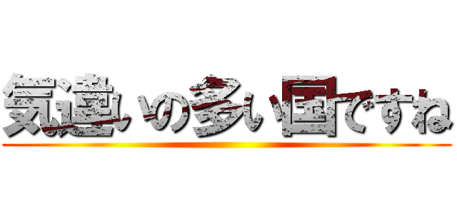 気違いの多い国ですね ()