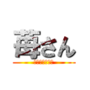 苺さん (フォロバするぜ)