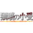 猥琐の小受 (ws de xs（your sisiter）)