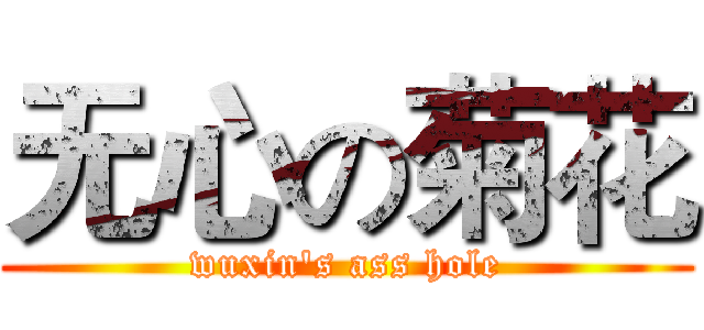 无心の菊花 (wuxin's ass hole)