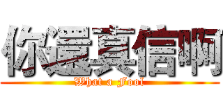 你還真信啊 (What a Fool)