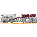 進撃の肥蟲 (肥蟲真的好肥喔)