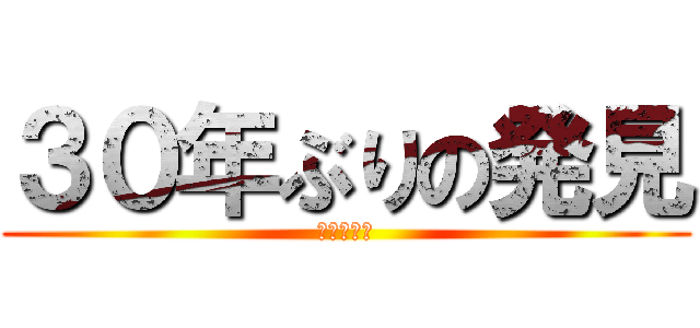 ３０年ぶりの発見 (〜アカザ〜)