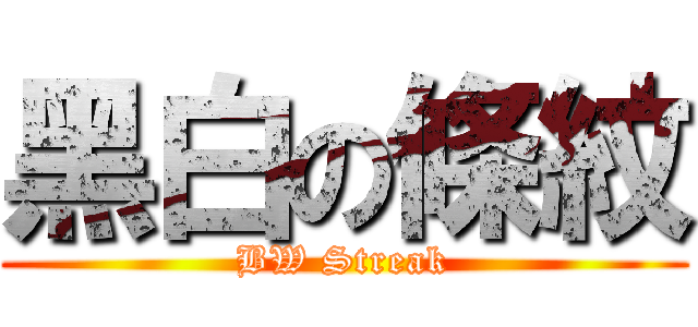 黑白の條紋 (BW Streak)