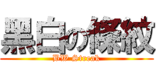 黑白の條紋 (BW Streak)