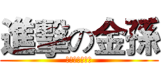 進擊の金孫 (なんでもできる)