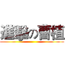 進擊の曹植 ()