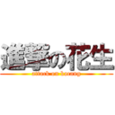 進撃の花生 (attack on kacang)