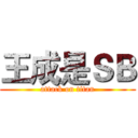 王成是ＳＢ (attack on titan)