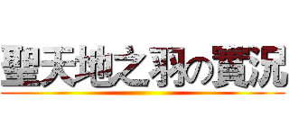 聖天地之羽の實況 ()