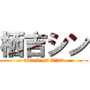 栖吉シン (attack on titan)