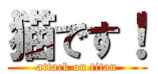 猫です！ (attack on titan)